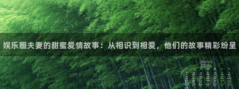 pg电子·麻将胡了2下载：娱乐圈夫妻的甜蜜爱情故事：从相识到相爱，他们的故事精彩纷呈