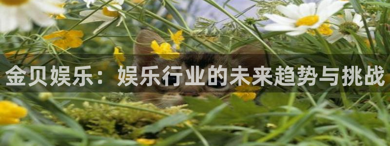pg赏金大对决模拟器试玩版：金贝娱乐：娱乐行业的未来趋势与挑战