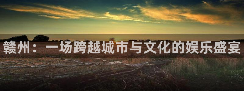 电子模拟器pg链接：赣州：一场跨越城市与文化的娱乐盛宴