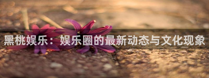 pg平台下载：黑桃娱乐：娱乐圈的最新动态与文化现象