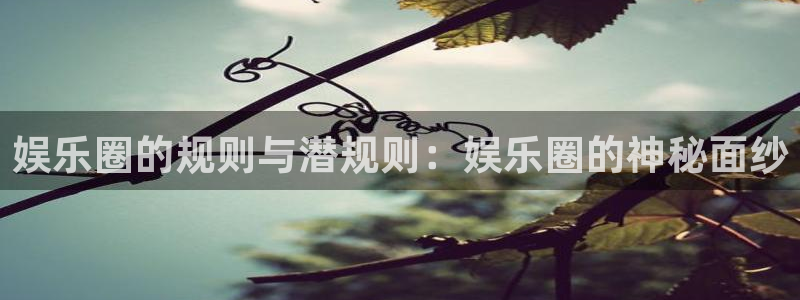 pg电子游戏网站：娱乐圈的规则与潜规则：娱乐圈的神秘面纱