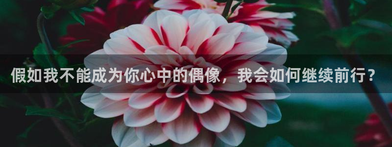 pg电子都是一个平台吗：假如我不能成为你心中的偶像，我会如何继续前行？