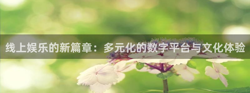 pg电子app官方入口：线上娱乐的新篇章：多元化的数字平台与文化体验