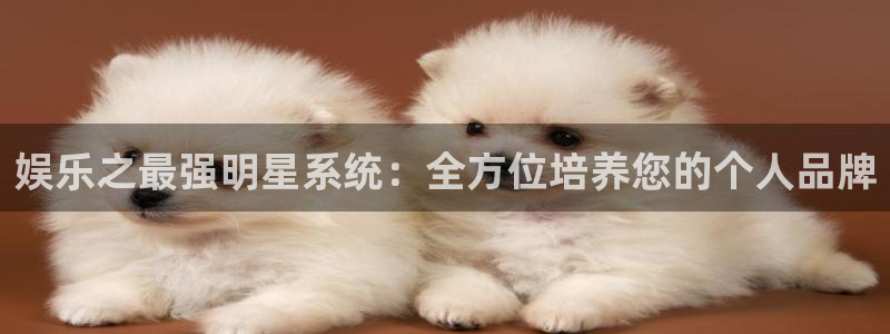 pg技巧麻将胡了：娱乐之最强明星系统：全方位培养您的个人品牌