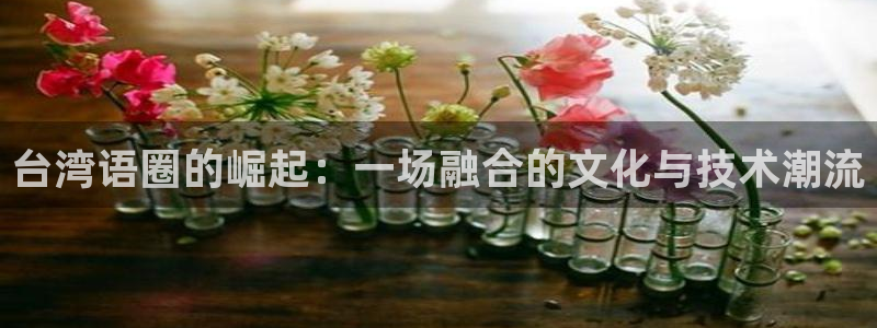 pg电子入口：台湾语圈的崛起：一场融合的文化与技术潮流