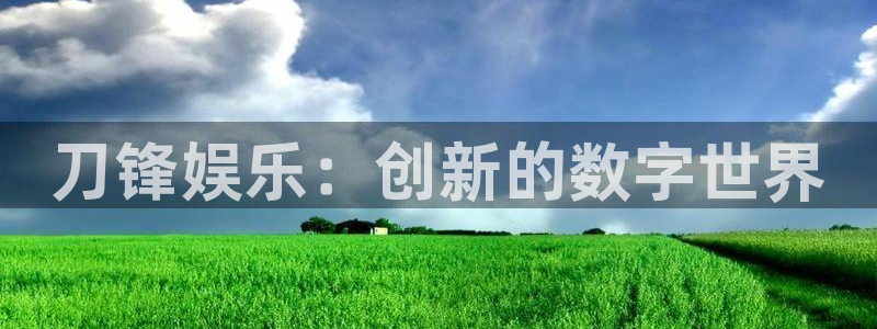 电子pg怎么玩：刀锋娱乐：创新的数字世界