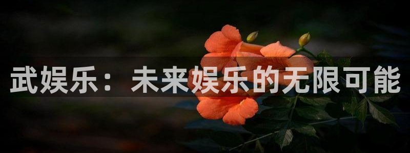 pg电子少林足球试玩：武娱乐：未来娱乐的无限可能