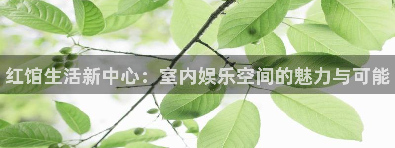 最新pg电子网站：红馆生活新中心：室内娱乐空间的魅力与可能