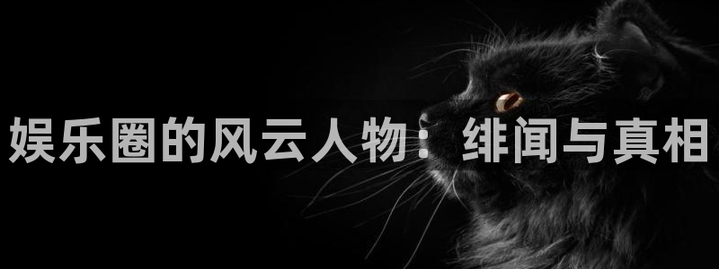 pg娱乐电子游戏平台：娱乐圈的风云人物：绯闻与真相