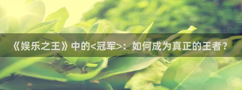 pg电子寻宝黄金城：《娱乐之王》中的<冠军>：如何成为真正的王者？