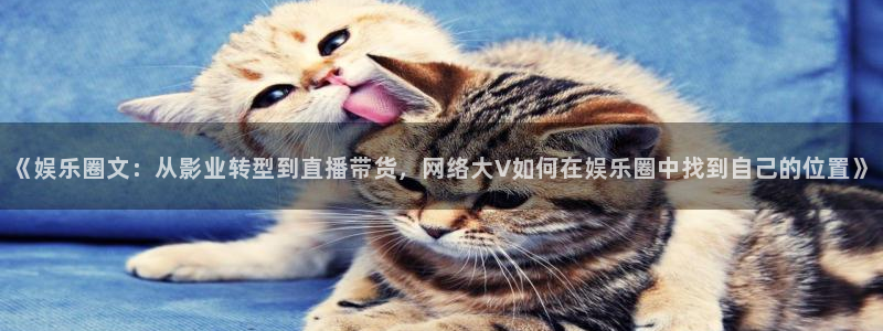 pg电子免费版：《娱乐圈文：从影业转型到直播带货，网络大V如何在娱乐圈中找到自己的位置》