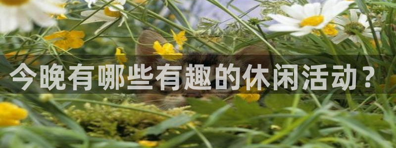 pg赏金女王平台：今晚有哪些有趣的休闲活动？
