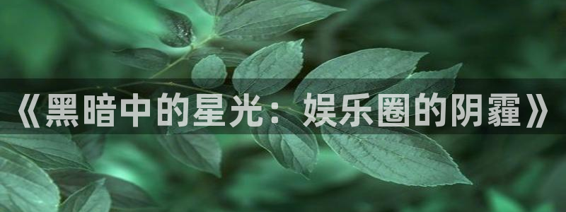 1155cc电子pg下载：《黑暗中的星光：娱乐圈的阴霾》