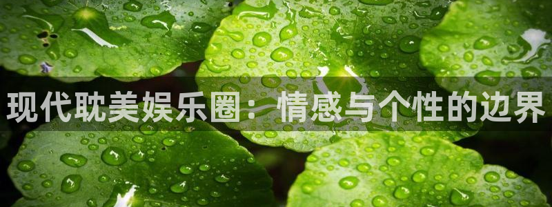 pg电子试玩：现代耽美娱乐圈：情感与个性的边界