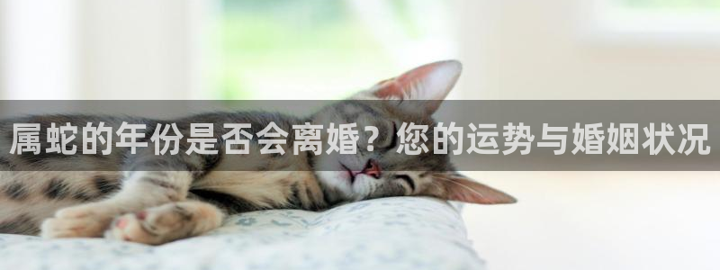 pg电子体验网站：属蛇的年份是否会离婚？您的运势与婚姻状况
