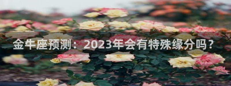 pg模拟器·com：金牛座预测：2023年会有特殊缘分吗？