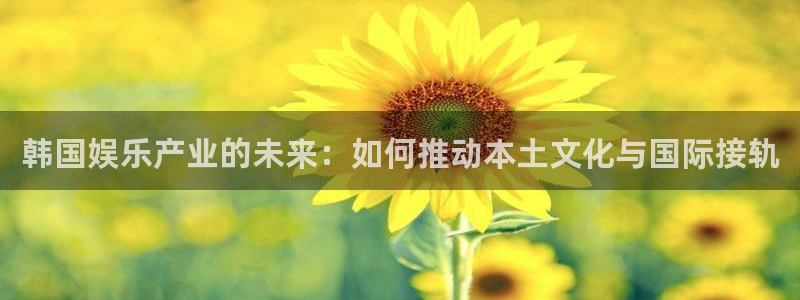 pg电子试玩免费：韩国娱乐产业的未来：如何推动本土文化与国际接轨
