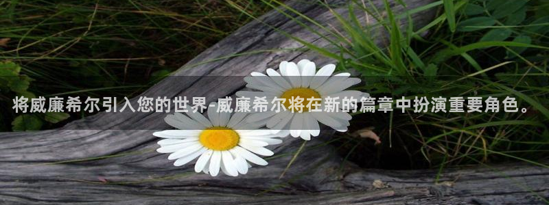 pg电子少林足球试玩：将威廉希尔引入您的世界-威廉希尔将在新的篇章中扮演重要角色。