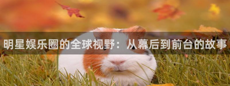 pg电子中文模拟器 cq9：明星娱乐圈的全球视野：从幕后到前台的故事