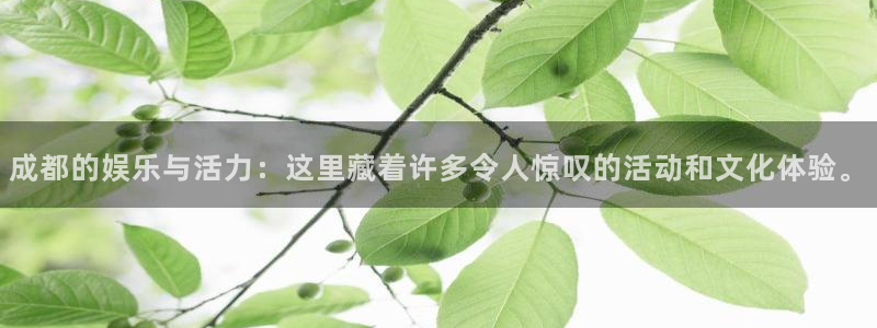 pg电子都是一个平台吗：成都的娱乐与活力：这里藏着许多令人惊叹的活动和文化体验。