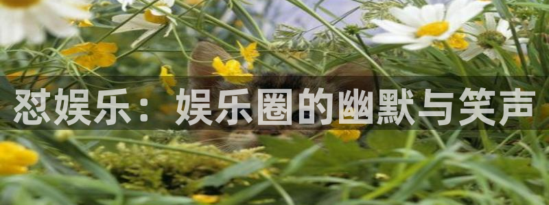 pg电子娱乐试玩：怼娱乐：娱乐圈的幽默与笑声
