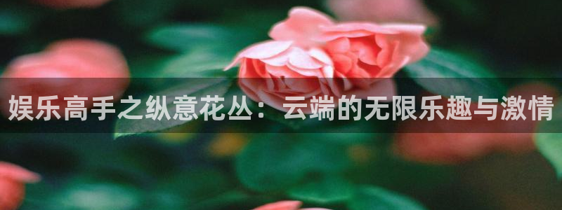 赏金女王pg：娱乐高手之纵意花丛：云端的无限乐趣与激情