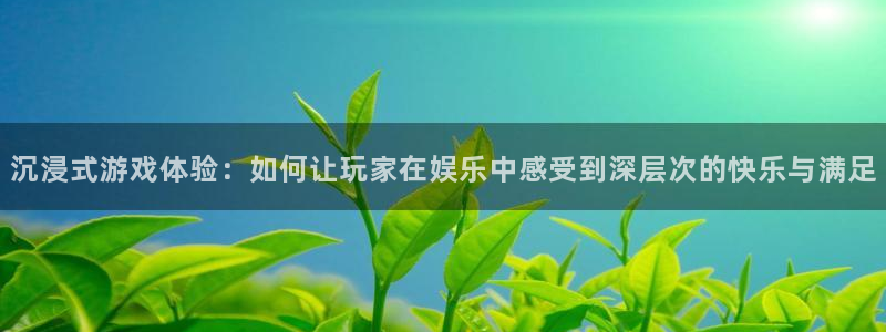pg赏金女王故事：沉浸式游戏体验：如何让玩家在娱乐中感受到深层次的快乐与满足