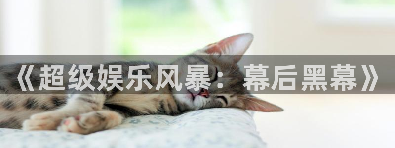 pg国际官网入口：《超级娱乐风暴：幕后黑幕》