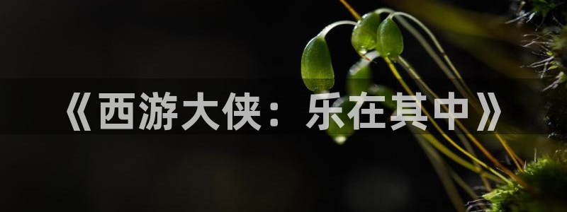 pg电子网页模拟器：《西游大侠：乐在其中》