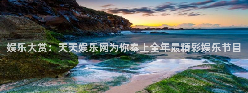 pg电子模拟器ios版：娱乐大赏：天天娱乐网为你奉上全年最精彩娱乐节目