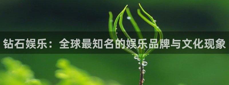 pg电子赏金女王官网：钻石娱乐：全球最知名的娱乐品牌与文化现象