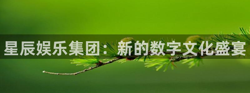 pg电子麻将胡了破解版：星辰娱乐集团：新的数字文化盛宴